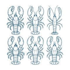 Hand-Drawn Lobster Collection in Blue
