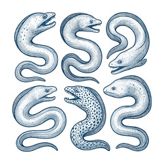 Eel Hand-Drawn Collection in Blue