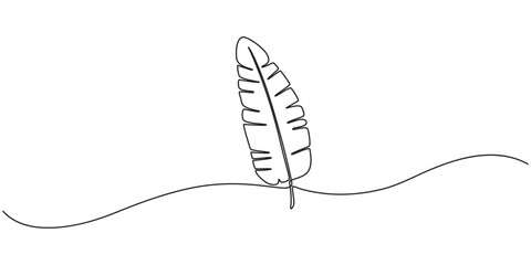 Bird of Paradise Banana Leaf Continuous Line Drawing, Continuous one line drawing of banana leaf. One line drawing illustration of banana leaf. Tropical leaf concept line art. outline, organic shapes.