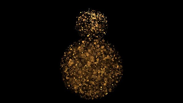 Golden Bokeh Snowman Forming in Magical Particle Animation
A shimmering snowman materializes from thousands of glowing golden bokeh particles against a black background. 