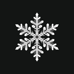 six-pointed graphic of a snowflake