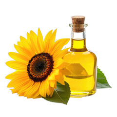 A bright yellow sunflower next to a small glass bottle filled with golden sunflower oil, isolated on black.