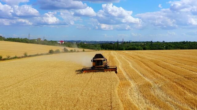 Agricultural harvester operates in golden wheat field, capturing the essence of harvest season, with dynamic aerial camera movement showcasing the landscape