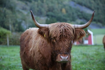 Majestic Norway: Picturesque Landscapes on a Camper Adventure