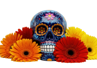 Dark indigo ceramic sugar skull with intricate Mexican floral patterns, embraced by vibrant gerbera daisies, set against a brilliant white background, Dia de los Muertos celebration concept