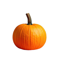 A vibrant orange pumpkin with a prominent stem centered against a stark black background.