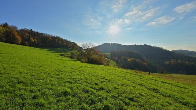 Weite gr&uuml;ne Wiesen unter strahlender Sonne und klarem Himmel f&uuml;r eine nat&uuml;rliche, friedliche Stimmung, V&ouml;ckelsbach, M&ouml;rlenbach, Landkreis Bergstrasse, Odenwald, Hessen, Deutschland, Europa 