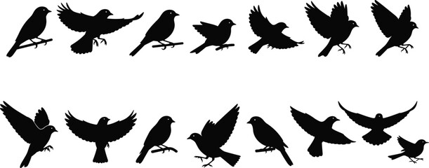 Bird silhouette icons set featuring flying birds, perched birds, wings spread, wildlife shapes, nature animals, flight motion, and avian illustrations