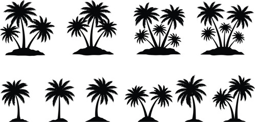 Tropical palm tree silhouettes set featuring island scenery, coconut trees, beach elements, summer nature illustrations, exotic landscape icons and vacation themes