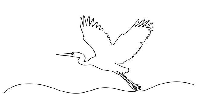 Animated self drawing of Heron stork single continuous one line out line vector art drawing on white background, Continuous one single minimal line drawing Cranes,