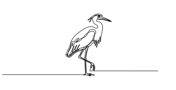 Animated self drawing of Heron stork single continuous one line out line vector art drawing on white background, Continuous one single minimal line drawing Cranes,