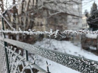 Detail of frost in the winter season on barbed wire.
