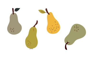 Set of hand drawn pears. Vector illustration, flat design
