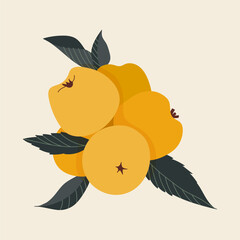 Set of hand drawn yellow apples with leaves. Vector illustration, flat design