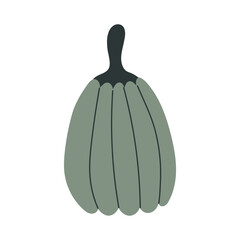 Hand drawn pumpkin doodle. Thanksgiving and Halloween decoration. Vector illustration, flat design
