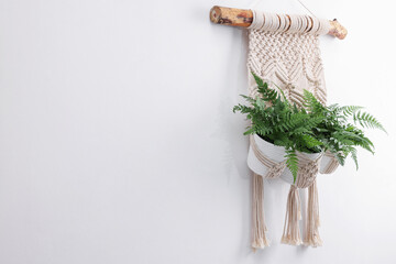 Beautiful potted houseplants hanging in macrame planter on white wall. Space for text