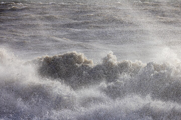 Powerful waves crashing on a windy day