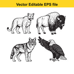 Obraz premium vector illustration of four wildlife animals in black and white line art style