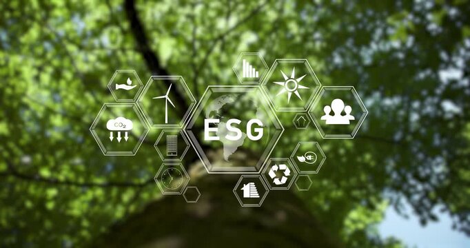 ESG eco icons on blurred sunny green canopy of a beech tree. Environment, society and governance. 