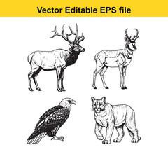 Obraz premium vector illustration of various wildlife animals including deer, eagle, and wolf in editable eps format for design