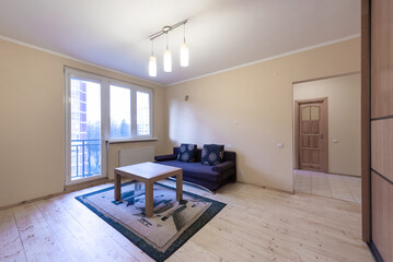 Home Living Room and Bedroom. Stylish Apartment. Open Space Interior, Sofa, Couch and Closet. 