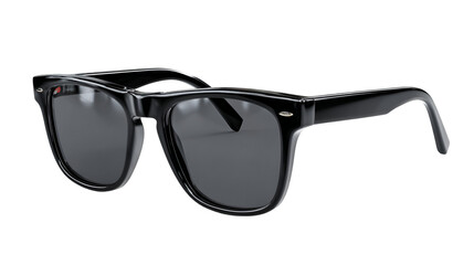 Classic Black Frame Sunglasses with Dark Lenses