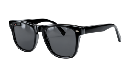 Classic Black Frame Sunglasses with Dark Lenses