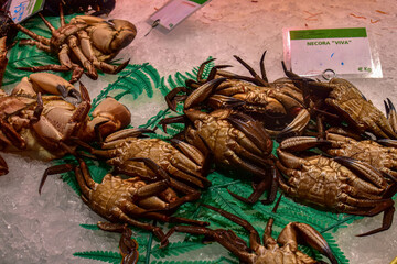 Fresh raw crabs on market display ice