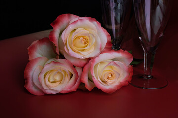 On a red background, next to wine glasses, there are three delicate and beautiful scarlet roses. A festive concept for Mother's Day, March 8, Valentine's Day, and Family Day