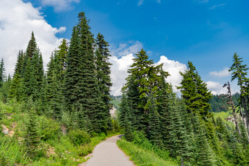 Fototapeta premium Landscape of scenery nature. Scenic landscape woodland. Hill landscape with forest. Nature mountain forest. Green forest wood landscape in mountain. Nature of mixed forest