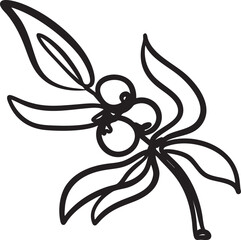 Hand drawn botanical line art collection of flowers and leaves