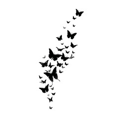 Naklejka premium Black butterflies silhouette swarm on white background vector illustration