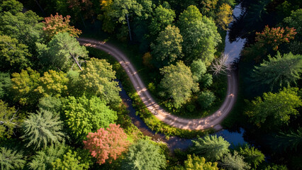 Fototapeta premium Aerial View of Winding Mountain Roads Through Dense Green Forests