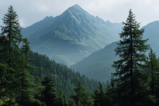 Lush Green Forest with Majestic Mountains Under a Clear Daytime Sky in Lombardy, Italy