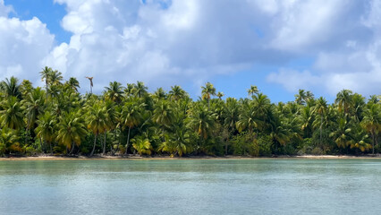 Luxury resort photo of French Polynesia tropical 
paradise island Fakarava with palm trees. Photography with azure ocean, sky with clouds on horizon. Pacific Ocean.