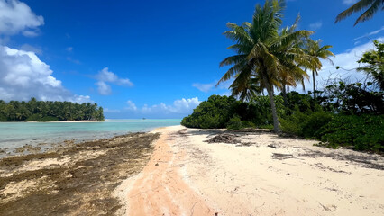 Luxury resort photo of French Polynesia tropical 
paradise island Fakarava with palm trees. Photography with azure ocean, sky with clouds on horizon. Pacific Ocean.