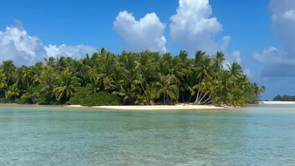 Luxury resort photo of French Polynesia tropical 
paradise island Fakarava with palm trees. Photography with azure ocean, sky with clouds on horizon. Pacific Ocean.