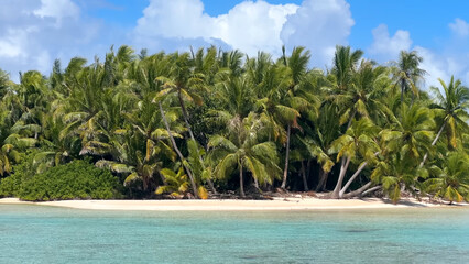 Obraz premium Luxury resort photo of French Polynesia tropical paradise island Fakarava with palm trees. Photography with azure ocean, sky with clouds on horizon. Pacific Ocean.