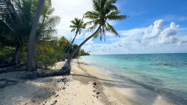 Luxury resort photo of French Polynesia tropical 
paradise island Fakarava with palm trees. Photography with azure ocean, sky with clouds on horizon. Pacific Ocean.