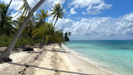 Luxury resort photo of French Polynesia tropical 
paradise island Fakarava with palm trees. Photography with azure ocean, sky with clouds on horizon. Pacific Ocean.
