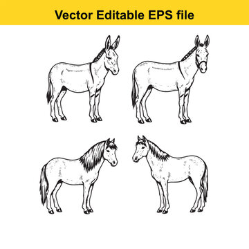  four black and white line drawings of donkeys in different poses vector