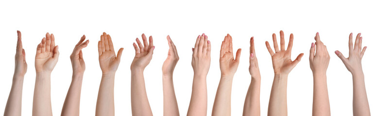 Female hands isolated on white, collection of photos