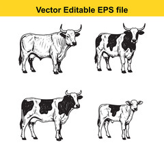 Fototapeta premium vector illustration of four black and white cows in different poses and styles