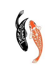 shrimp on white background