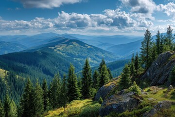 Fototapeta premium Serene Landscape: Breathtaking Panoramic Scene of Untouched Carpathian Wilderness Under a Beautiful Blue Sky