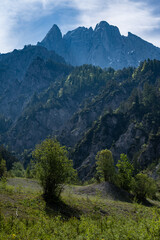 Fototapeta premium Jagged alpine peaks and cliffs in Gesaeuse National Park Austria summer view