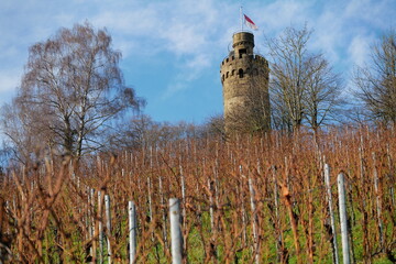 The tower of the Heuchelberg lookout in Leingarten near Heilbronn, Germany, Europe