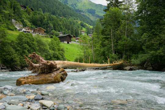 Tree trunk lying across Isel river in Pragraten Austria cloudy summer atmosphere