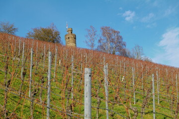 The tower of the Heuchelberg lookout in Leingarten near Heilbronn, Germany, Europe