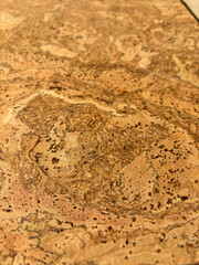 Top-down image of a cork veneer featuring swirling grain and small pores. Even light reveals varied tones and fine texture.